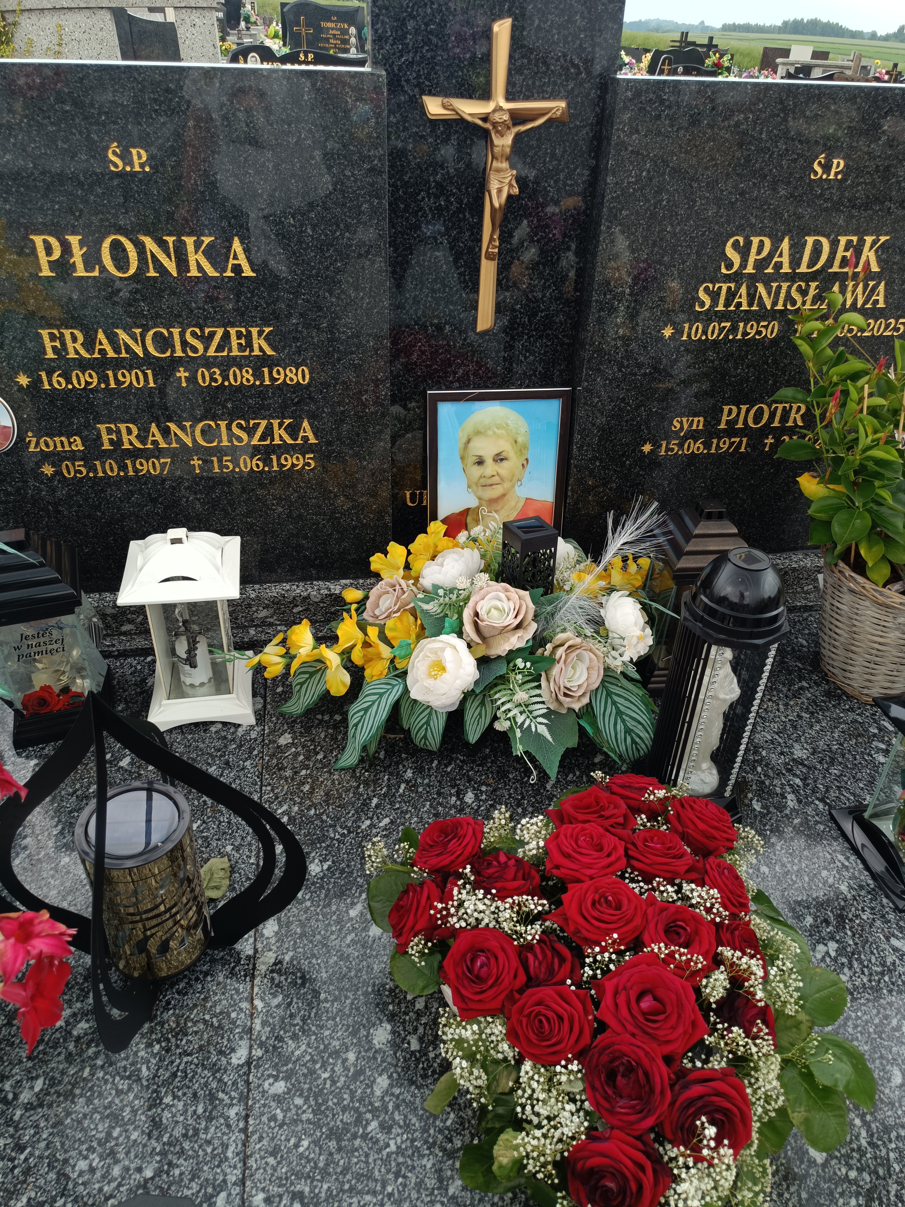 Stanisława Spadek 1950 Osiek - Grobonet - Wyszukiwarka osób pochowanych